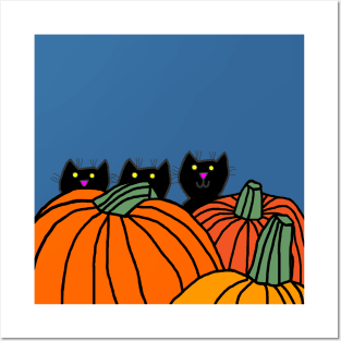 Kittens in the Pumpkin Patch with Blue Sky Posters and Art